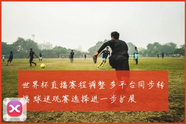 世界杯直播赛程调整 多平台同步转播 球迷观赛选择进一步扩展